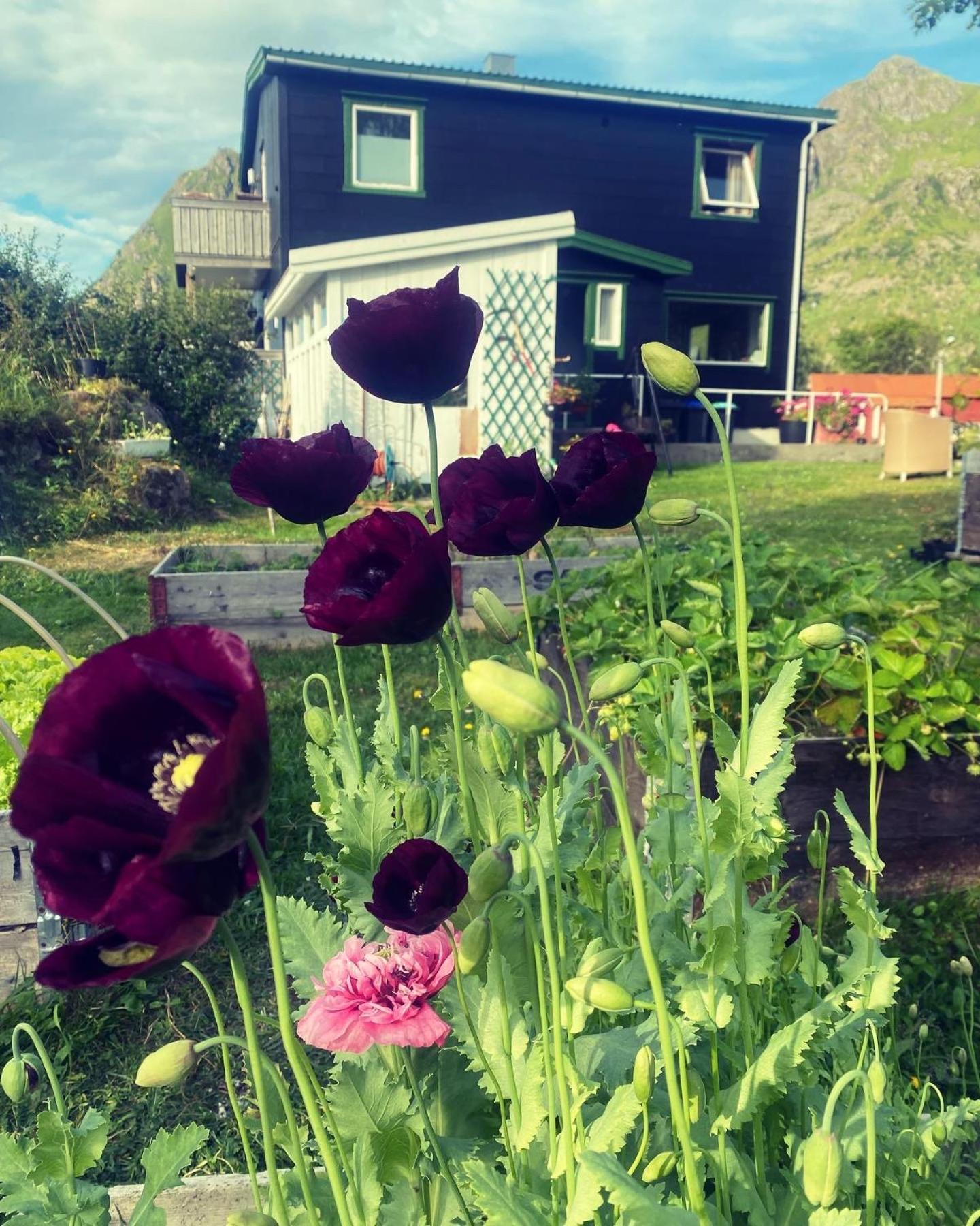 Valberg Gjestegard Kültér fotó